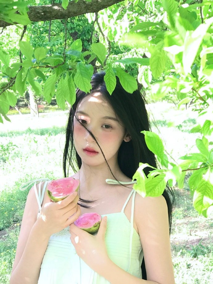甄嬛传 封面